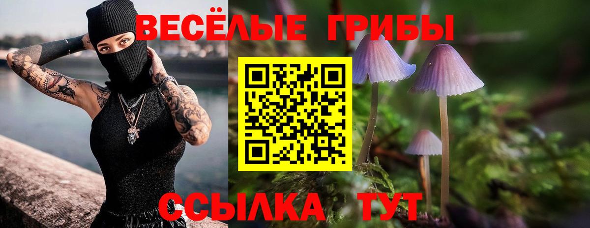 Галлюциногенные грибы прущие грибы Нефтеюганск