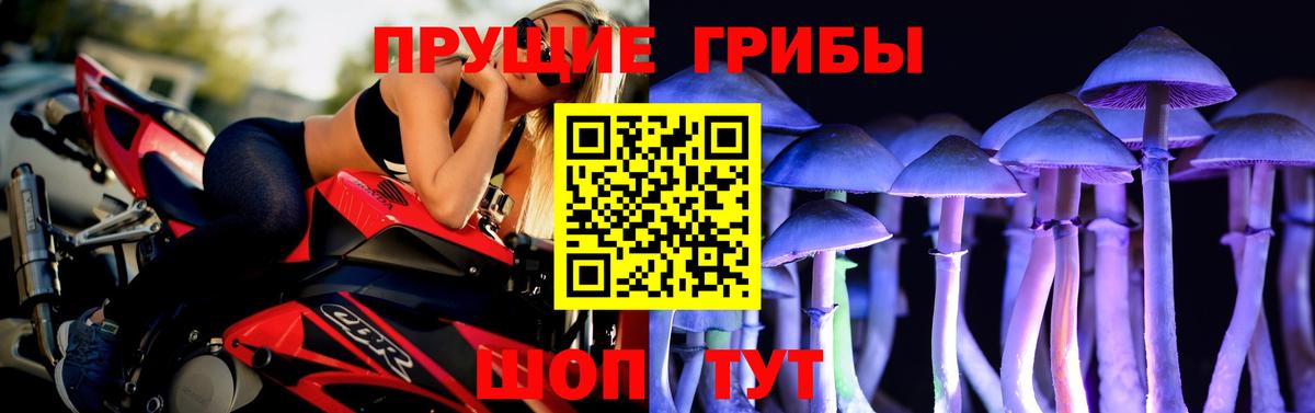 Псилоцибиновые грибы ЛСД  Галлюциногенные грибы ЛСД  наркота  Вход с VPN  Нефтеюганск 
